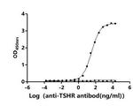 TSH Receptor Antibody in ELISA (ELISA)