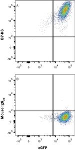 B7-H6 Monoclonal Antibody (1002932)