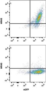 HRH3 Monoclonal Antibody (1008944)
