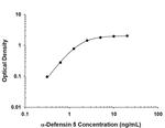 Defensin 5 Monoclonal Antibody (972207)