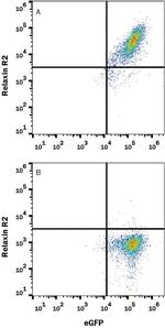 RXFP2 Antibody in Flow Cytometry (Flow)