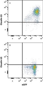 Claudin 15 Antibody in Flow Cytometry (Flow)
