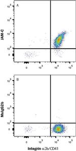JAM3 Monoclonal Antibody (208212)