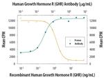 Growth Hormone Receptor Monoclonal Antibody (193804)