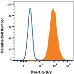 RAE1 alpha/beta/gamma Monoclonal Antibody (199215)