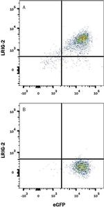 LRIG2 Monoclonal Antibody (990310)