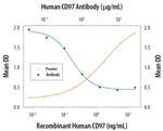 CD97 Antibody in Neutralization (Neu)
