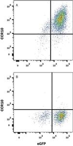 CCR10 Monoclonal Antibody (248918)