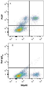 PLZF Monoclonal Antibody (816421)