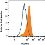 MARCO Monoclonal Antibody (579511)