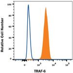 TRAF6 Monoclonal Antibody (326019)
