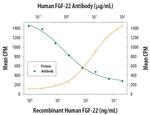 FGF22 Monoclonal Antibody (435008)