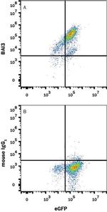 BAI3 Monoclonal Antibody (409633)