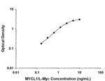 L-Myc Monoclonal Antibody (803017)