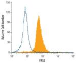 FRS2 Monoclonal Antibody (462902)