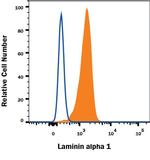 Laminin alpha-1 Monoclonal Antibody (775016)