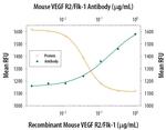 VEGF Receptor 2 Monoclonal Antibody (91202)