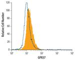 GPR37 Antibody in Flow Cytometry (Flow)