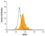 GPR22 Monoclonal Antibody (455108)