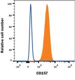 BST-1 Monoclonal Antibody (534509)