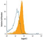 Jagged 2 Monoclonal Antibody (746513)