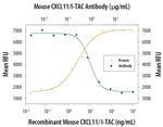 CXCL11 Monoclonal Antibody (131327)