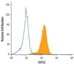 HTR2C Monoclonal Antibody (496214)