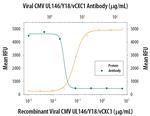 Cytomegalovirus UL146 Monoclonal Antibody (76520)