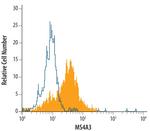 MS4A3 Monoclonal Antibody (489433)