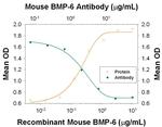 BMP-6 Monoclonal Antibody (719040)