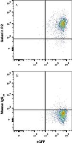 GALR2 Monoclonal Antibody (616520)