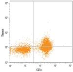 Themis Monoclonal Antibody (701010)
