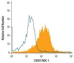 CXCR7 Monoclonal Antibody (734110)
