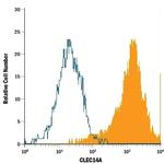 CLEC14A Monoclonal Antibody (743940)