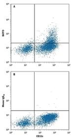 BATF3 Monoclonal Antibody (841702)