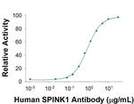 SPINK1 Monoclonal Antibody (839304)