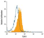 TLR11 Monoclonal Antibody (786404)