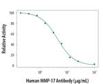 MMP17 Monoclonal Antibody (823511)