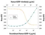 IGFBP4 Monoclonal Antibody (82314)