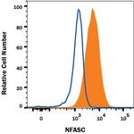 Neurofascin Monoclonal Antibody (1018843)