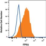 ITFG1 Monoclonal Antibody (936213)