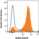 NLRP6 Monoclonal Antibody (920631)