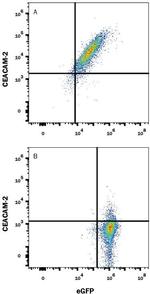 CEACAM2 Antibody in Flow Cytometry (Flow)