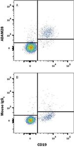 ADAM28 Monoclonal Antibody (1004266)