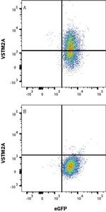 VSTM2A Antibody in Flow Cytometry (Flow)