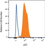 p53 Antibody in Flow Cytometry (Flow)