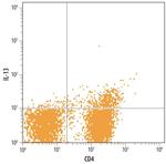 IL-13 Monoclonal Antibody (32116)