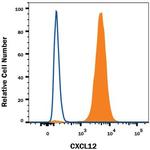 CXCL12 Antibody in Flow Cytometry (Flow)