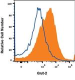 GLUT2 Antibody in Flow Cytometry (Flow)