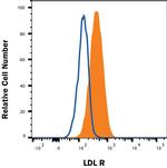 LDLR Antibody in Flow Cytometry (Flow)